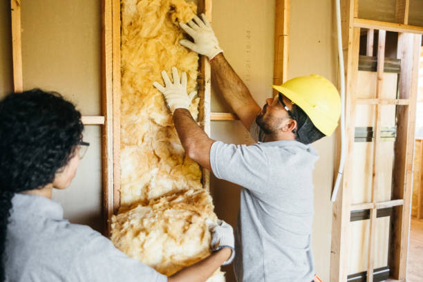 Best Batt and Roll Insulation  in Labelle, FL